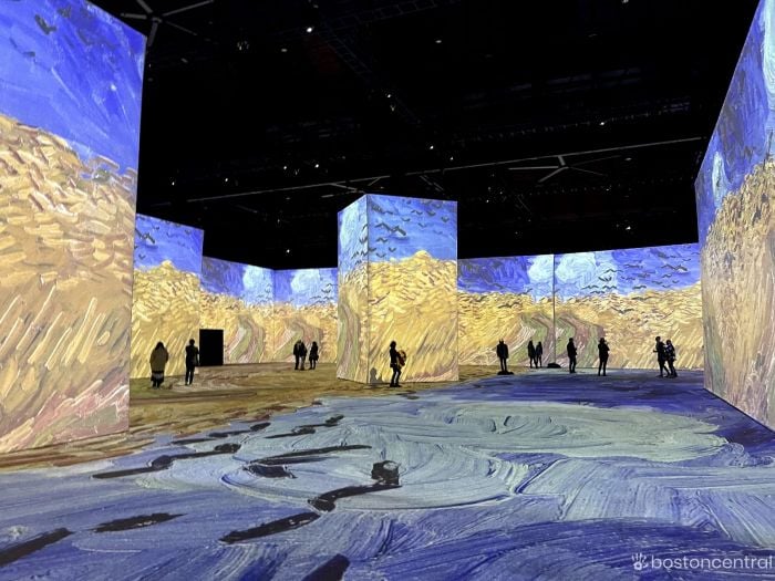 Imagine Van Gogh The Original Immersive Exhibition Boston